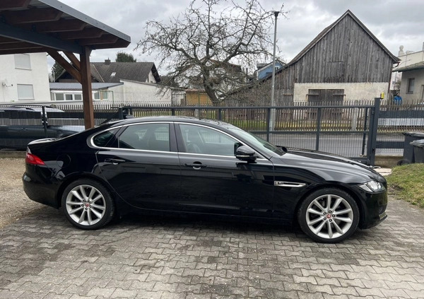 Jaguar XF cena 69900 przebieg: 38000, rok produkcji 2017 z Szubin małe 232